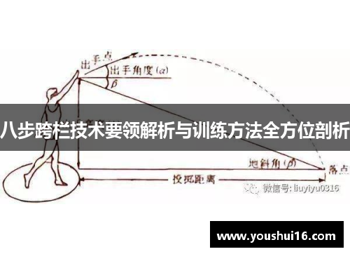 八步跨栏技术要领解析与训练方法全方位剖析