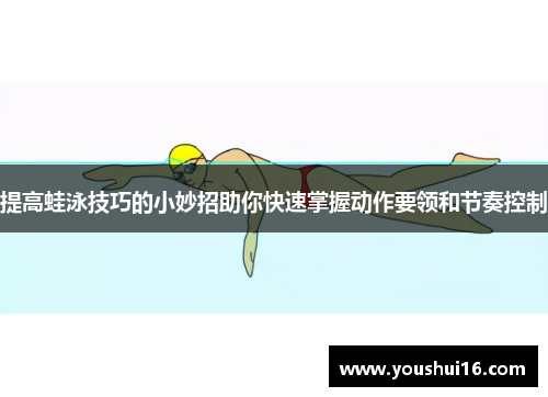 提高蛙泳技巧的小妙招助你快速掌握动作要领和节奏控制