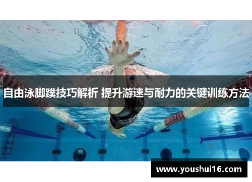 自由泳脚蹼技巧解析 提升游速与耐力的关键训练方法