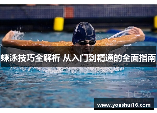 蝶泳技巧全解析 从入门到精通的全面指南